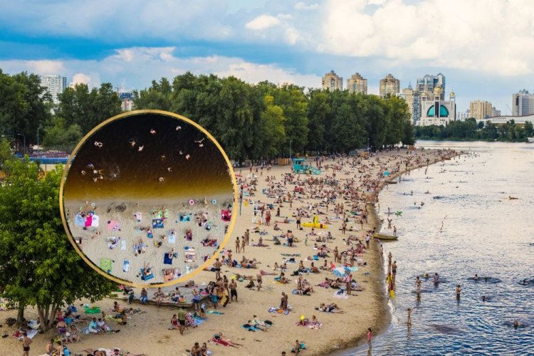 Киевлян возмутил цвет воды на пляже Гидропарка. Фото