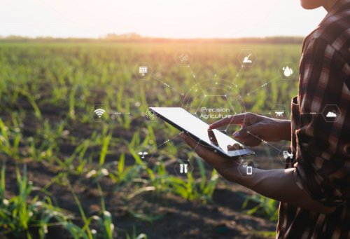 Satellites and green technologies can increase farm efficiency