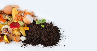 Photo – TOP-7 advantages of composting: how to recycle organic matter in an apartment