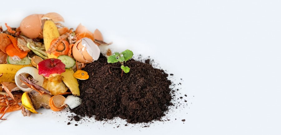 ТОП-7 преимуществ компостирования: как переработать органику в квартире