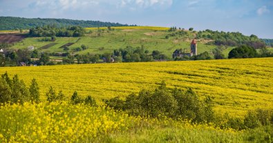 Photo – MPs approved the draft law on the principles of state climate policy