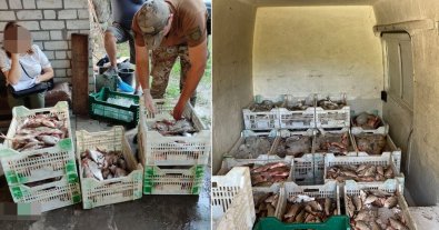 Фото – На Черкащині затримали банду браконьєрів, які наловили риби на 2 млн грн. Фото
