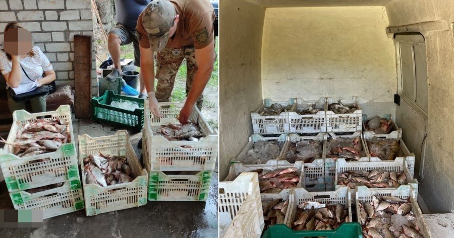 На Черкащині затримали банду браконьєрів, які наловили риби на 2 млн грн. Фото