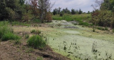Фото – На Дніпропетровщині самовільники масово зводять дамби: під загрозою річка Самара