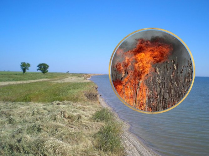 В Одесской области совершили поджог в национальном парке "Тузловские лиманы"