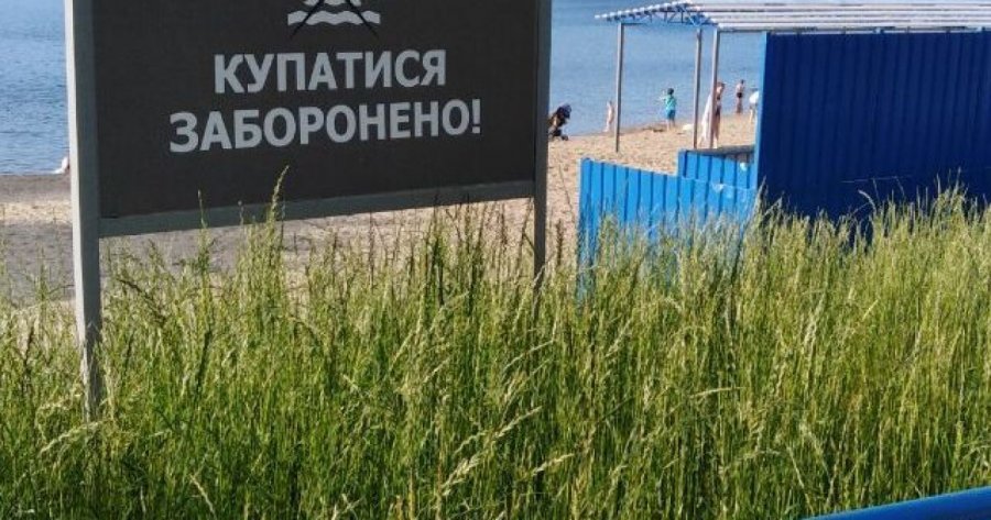 На більшості пляжів Одещини та Києва заборонено купатися, — голова Держекоінспекції