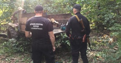 Photo – Since the beginning of the year, Ukraine has suffered large-scale losses due to environmental crimes