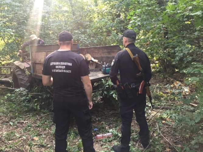 На Луганщині упіймали браконьєрів, які незаконно рубали дерева