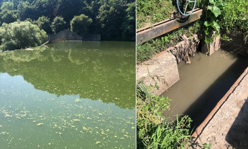 Водоканал в Житомире загрязнил нечистотами реку на 23 млн грн