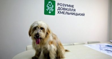 Фото – Як пес із хмельницького сміттєзвалища став навчати людей сортування сміття