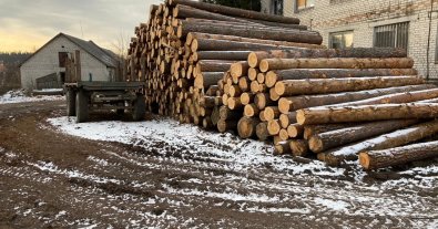 Фото – На Житомирщині чиновники погоріли на вирубці лісу