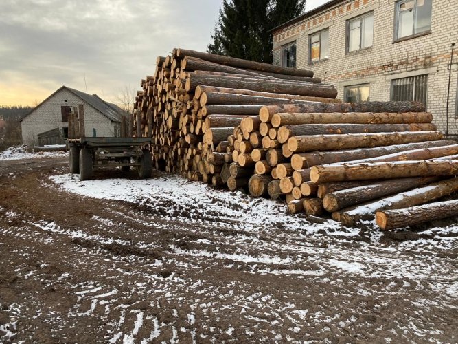 На Житомирщине чиновники погорели на вырубке леса