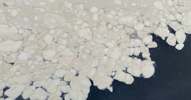 Фото – Еколог пояснив, звідки з'явилися білі плями на пляжі в Одесі. Відео