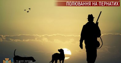 Фото – В Украине открыли сезон охоты на пернатую дичь: что нужно знать