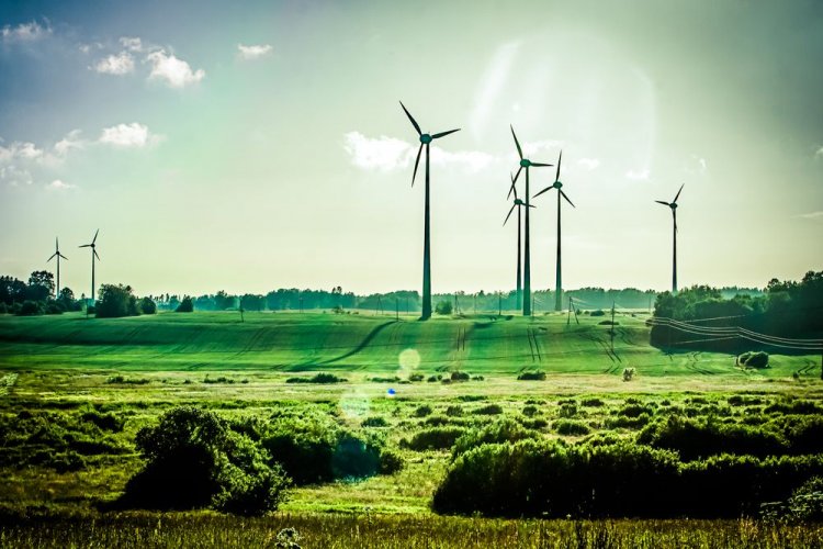 Украина и Дания договорились о расширении партнерства по ветровой энергетике