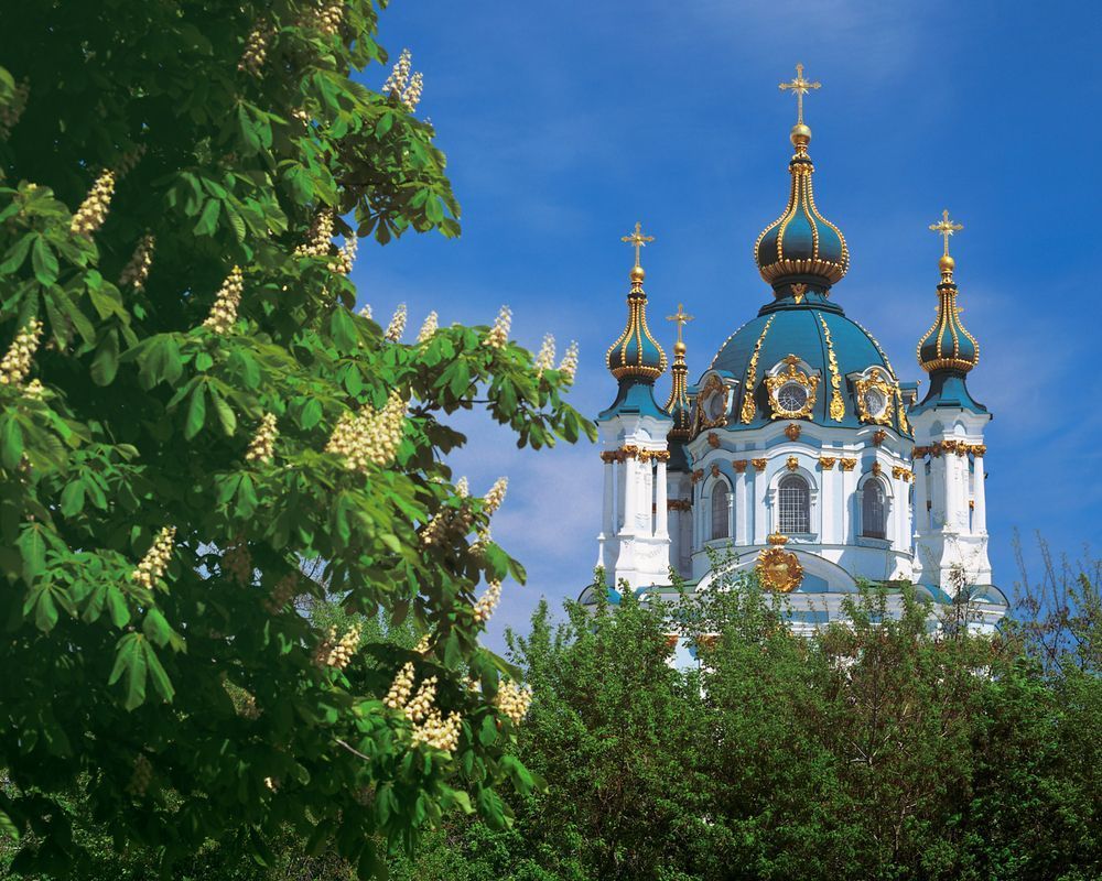 Фото – "Зеленый город": киевская власть представила важный для столицы документ