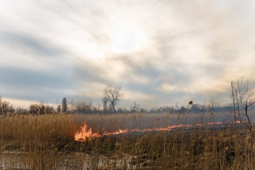 Паліїв трави можуть сприйняти за диверсантів
