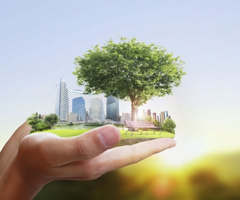 Україна на COP27 готує сильну позицію щодо клімату та впливу війни – експерти