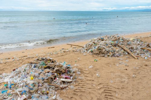 War has been declared against natural landfills in two regions of Ukraine