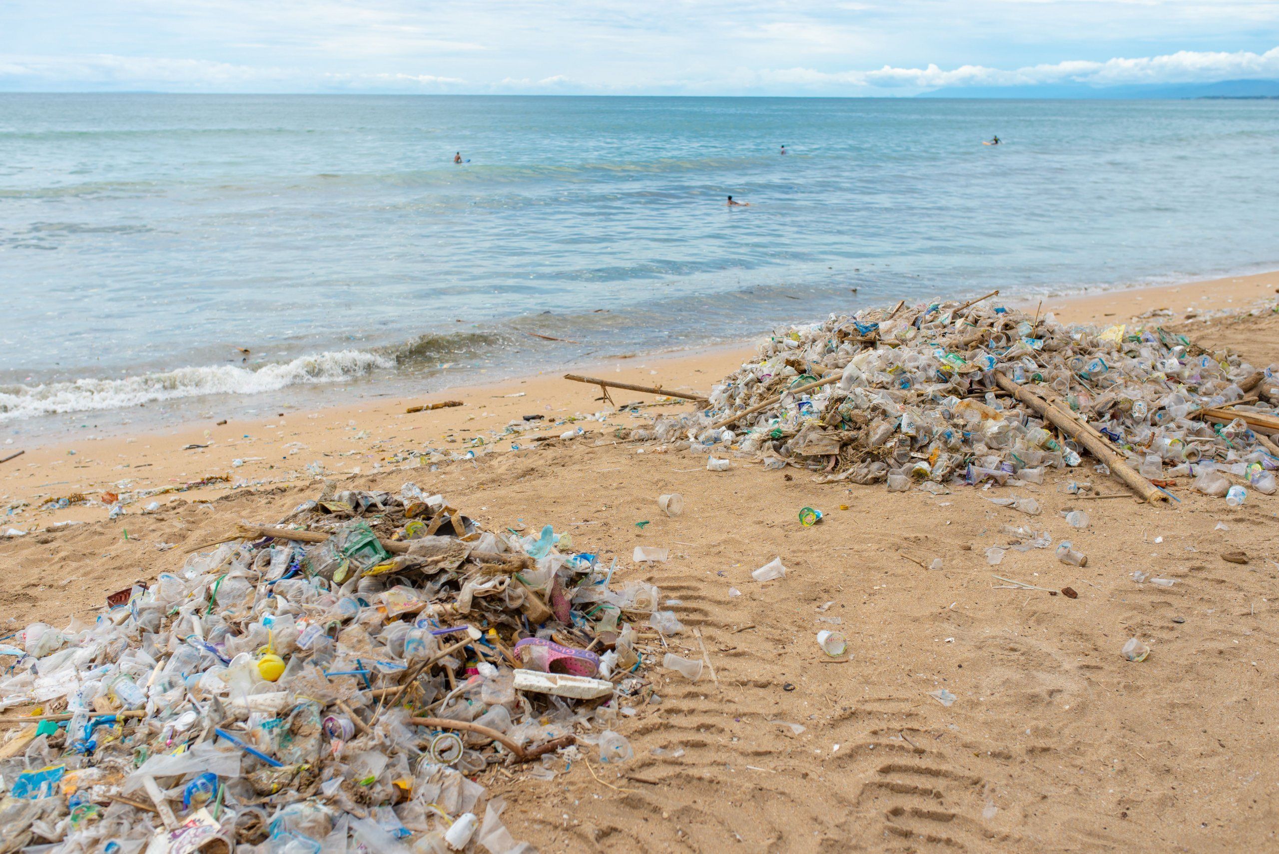 Photo – Greenwashing or overcoming the crisis: plastic certificates have appeared in the world