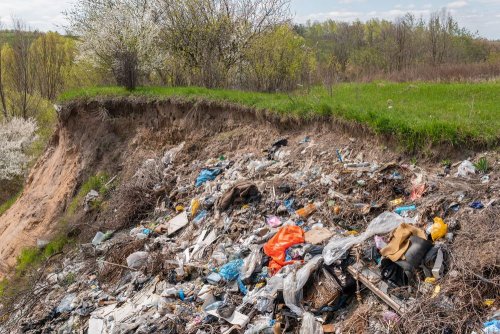 Due to complaints, a landfill was removed in Zhytomyr