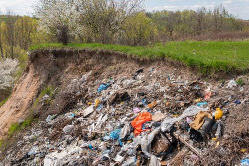 На Київщині підприємство "влетіло" на великий штраф через стихійне звалище