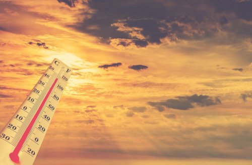 The average temperature exceeded the climate norm by 1.77°C in February