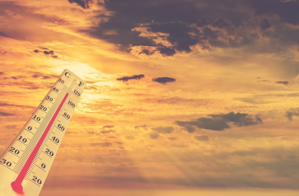 Photo – In March, the highest average temperature was recorded in the history of observations