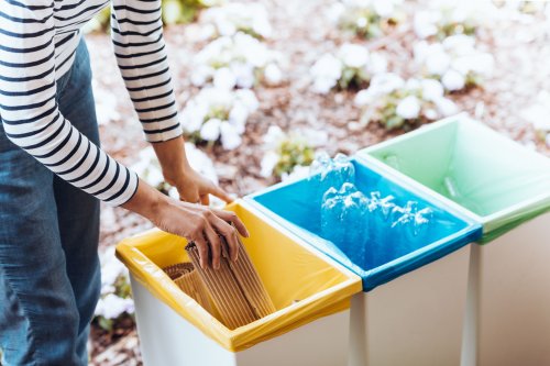 In Uzhhorod, schoolchildren will learn to sort garbage for a month