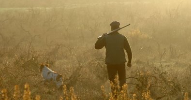 Фото – На Вінниччині знищили 14 гектарів заповідника заради незаконних полювань