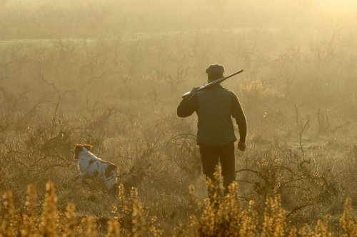 14 hectares of the nature reserve were destroyed for illegal hunting in Vinnytsia region