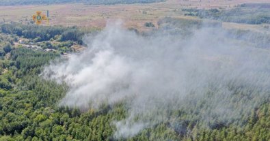 Фото – На Харківщині вирують пожежі в екосистемах: названо причину