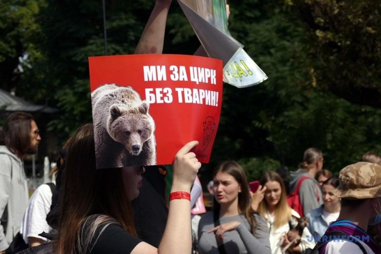У 30 містах України пройшов марш за тварин. Фото та відео