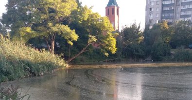 Фото – У Дніпрі озеро з черепахами почало перетворюватися на болото. Фото