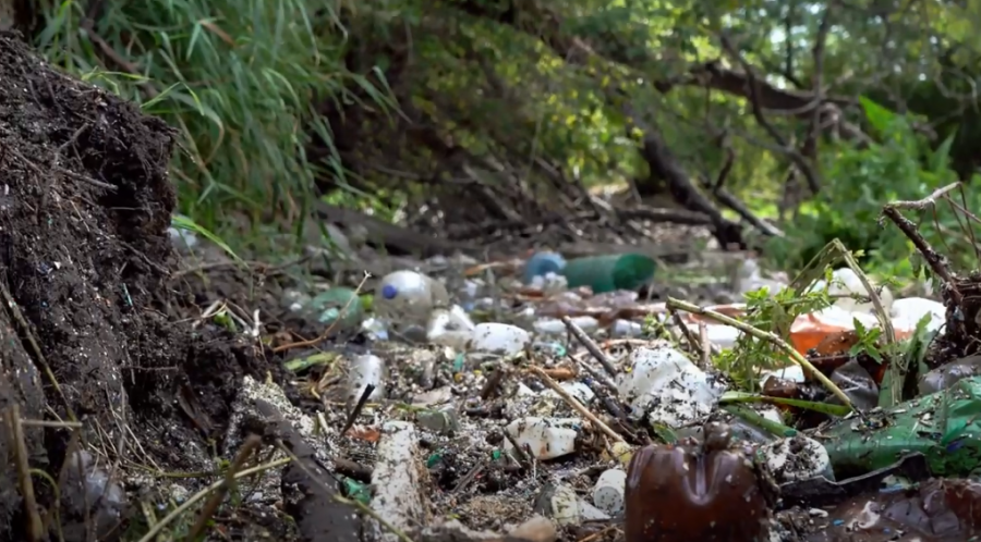 З'явився соціальний ролик про те, як активісти розчистили річку на Харківщині