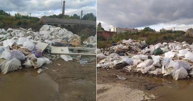 Фото – В окрестностях Львова образовались стихийные свалки. Фото и видео