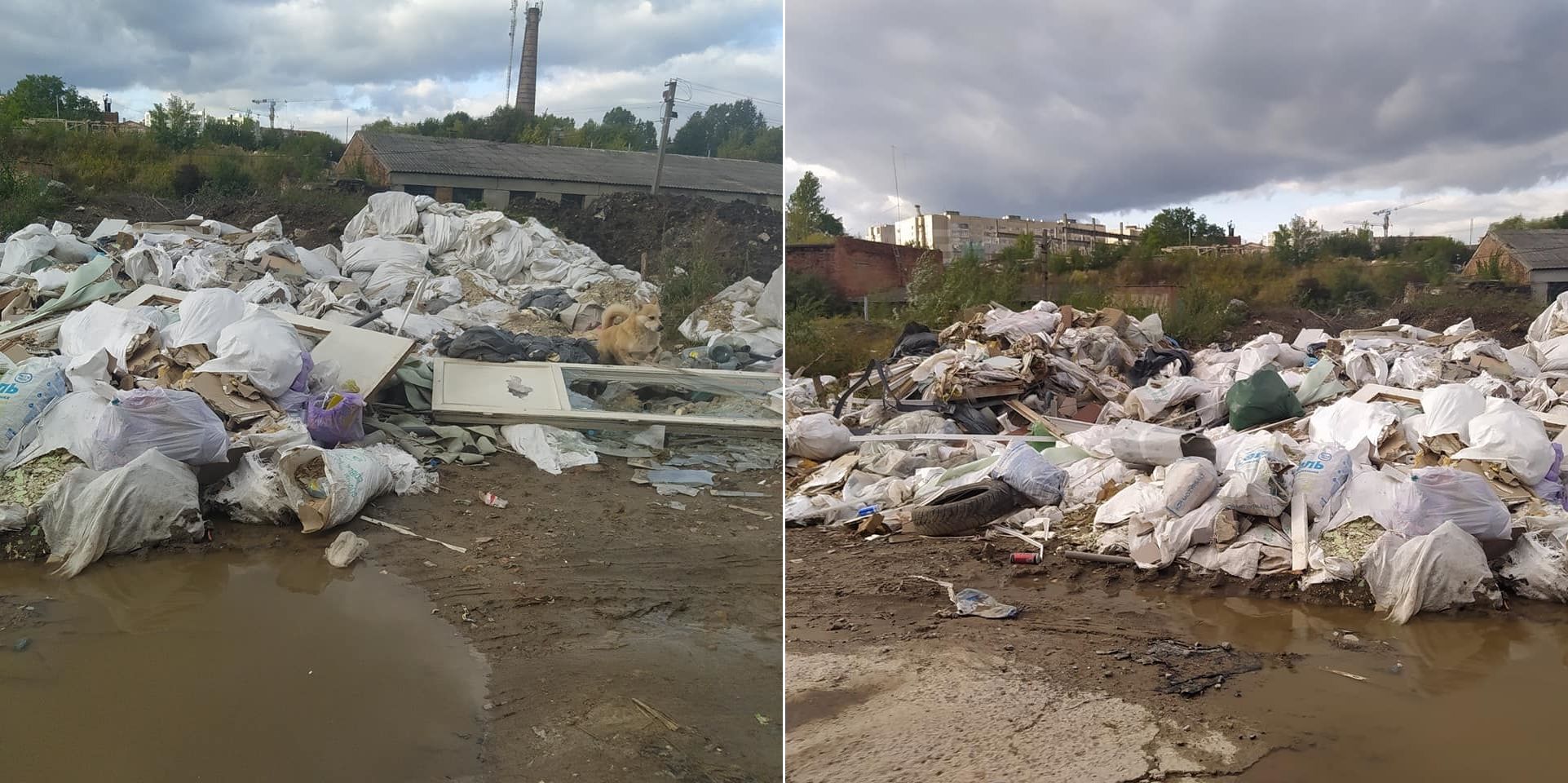 Фото – На околицях Львова утворилися стихійні звалища. Фото та відео