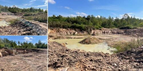 На Житомирщині виявили незаконний видобуток пісковику на 13 млн грн