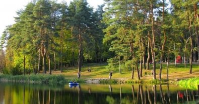 Фото – У Києві не змогли обрати директора Голосіївського парку: громадськість б'є на сполох