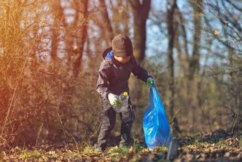 Украинцы убрали десятки тонн мусора с помощью мобильного приложения EcoHike