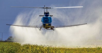 Фото – Біля Рівного сільський екопатруль упіймав вертоліт, який окроплював поля невідомою речовиною
