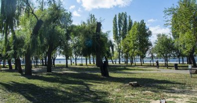 Фото – Активисты забили тревогу из-за вырубки деревьев в сквере Николаева