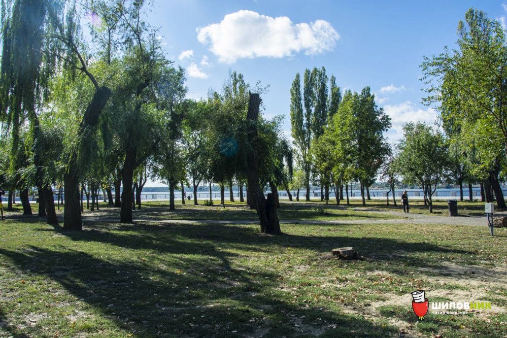 Фото – Активісти забили на сполох через вирубку дерев у сквері Миколаєва