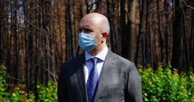 Фото – Державну стратегію управління лісами України розгляне уряд