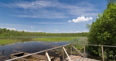 Фото – Легендарне озеро на Волині перетворюється на болото. Відео