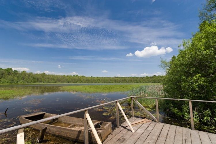 Легендарное озеро на Волыни превращается в болото. Видео