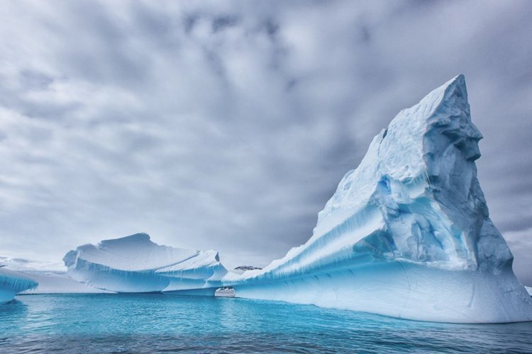 У екосистемі Антарктики виявили небезпечні сполуки