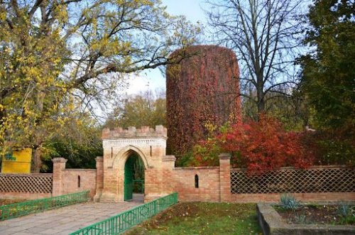 The occupiers captured the animal husbandry institute in the reserve Askania-Nova