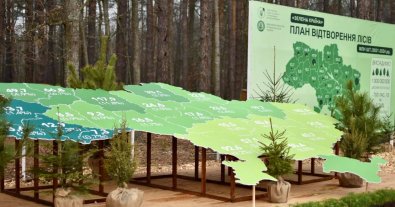 Фото – "Зелена країна": українці за добу висадили рекордну кількість дерев по всій країні