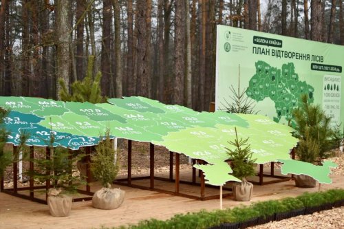 "Зеленая страна": украинцы за сутки высадили рекордное количество деревьев по всей стране